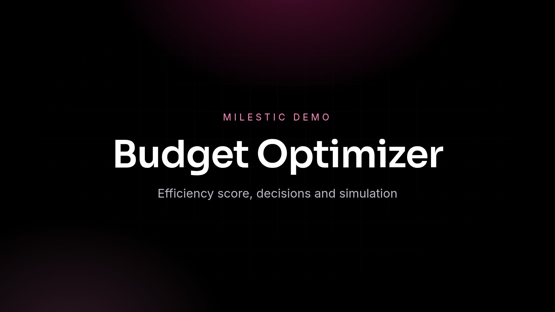 Budget Optimizer demo